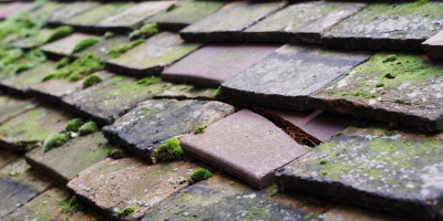 Stretham roof repair costs